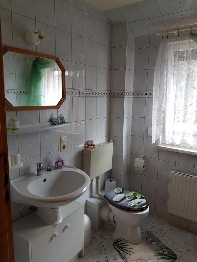 Landpension Zum Schweizerberg Neugrimnitz Екстериор снимка