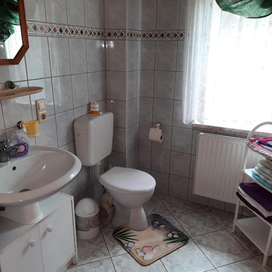 Landpension Zum Schweizerberg Neugrimnitz Екстериор снимка
