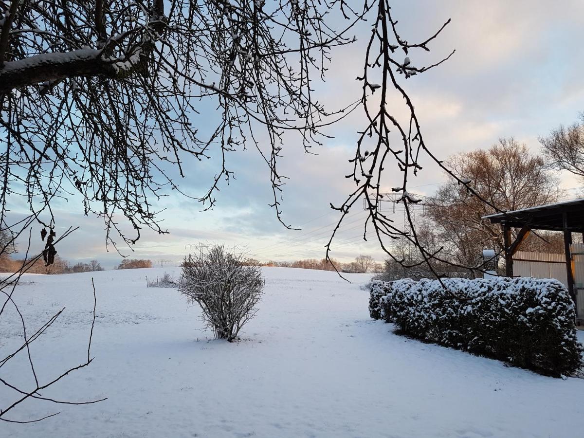 Landpension Zum Schweizerberg Neugrimnitz Екстериор снимка