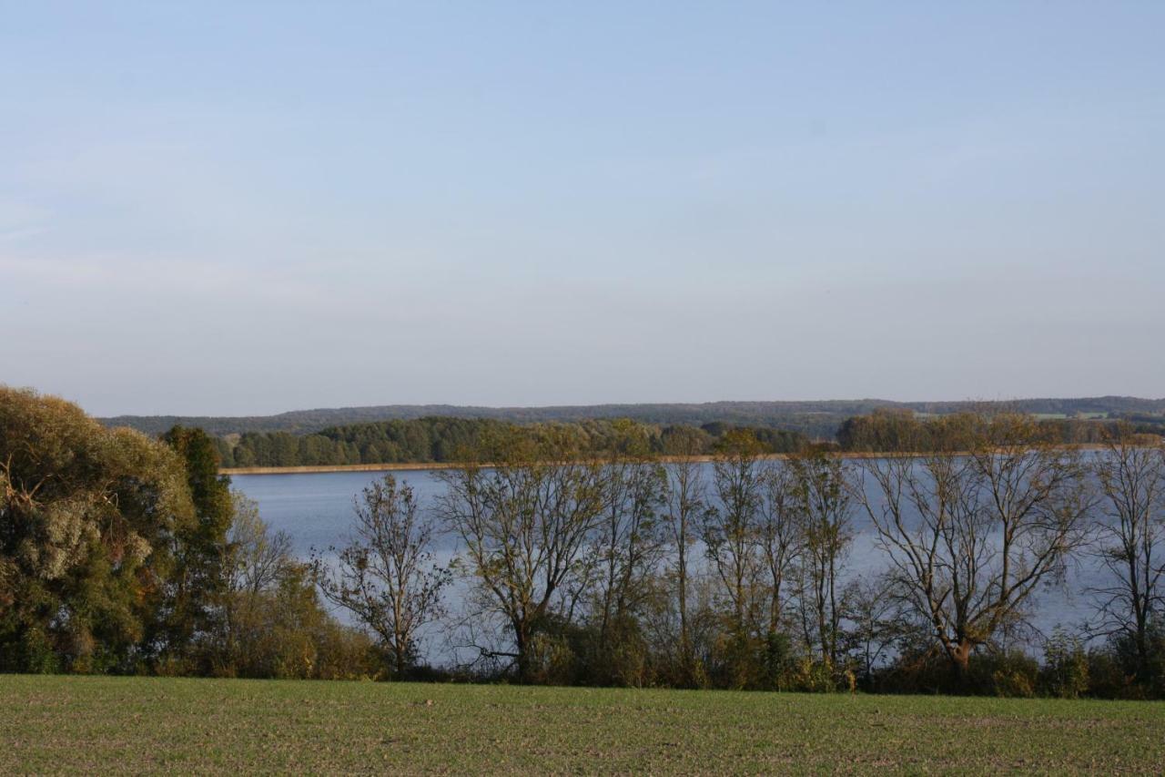 Landpension Zum Schweizerberg Neugrimnitz Екстериор снимка