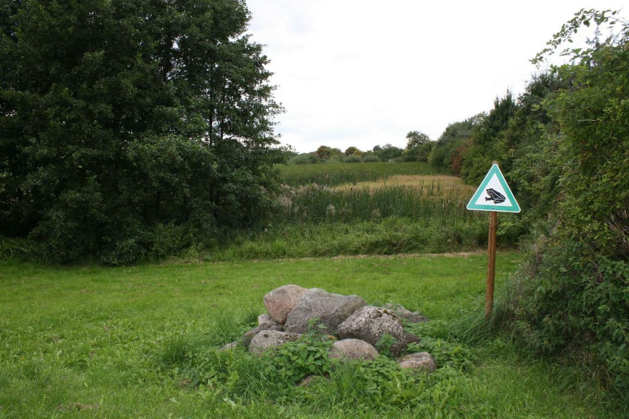 Landpension Zum Schweizerberg Neugrimnitz Екстериор снимка