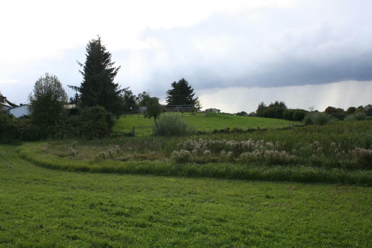 Landpension Zum Schweizerberg Neugrimnitz Екстериор снимка
