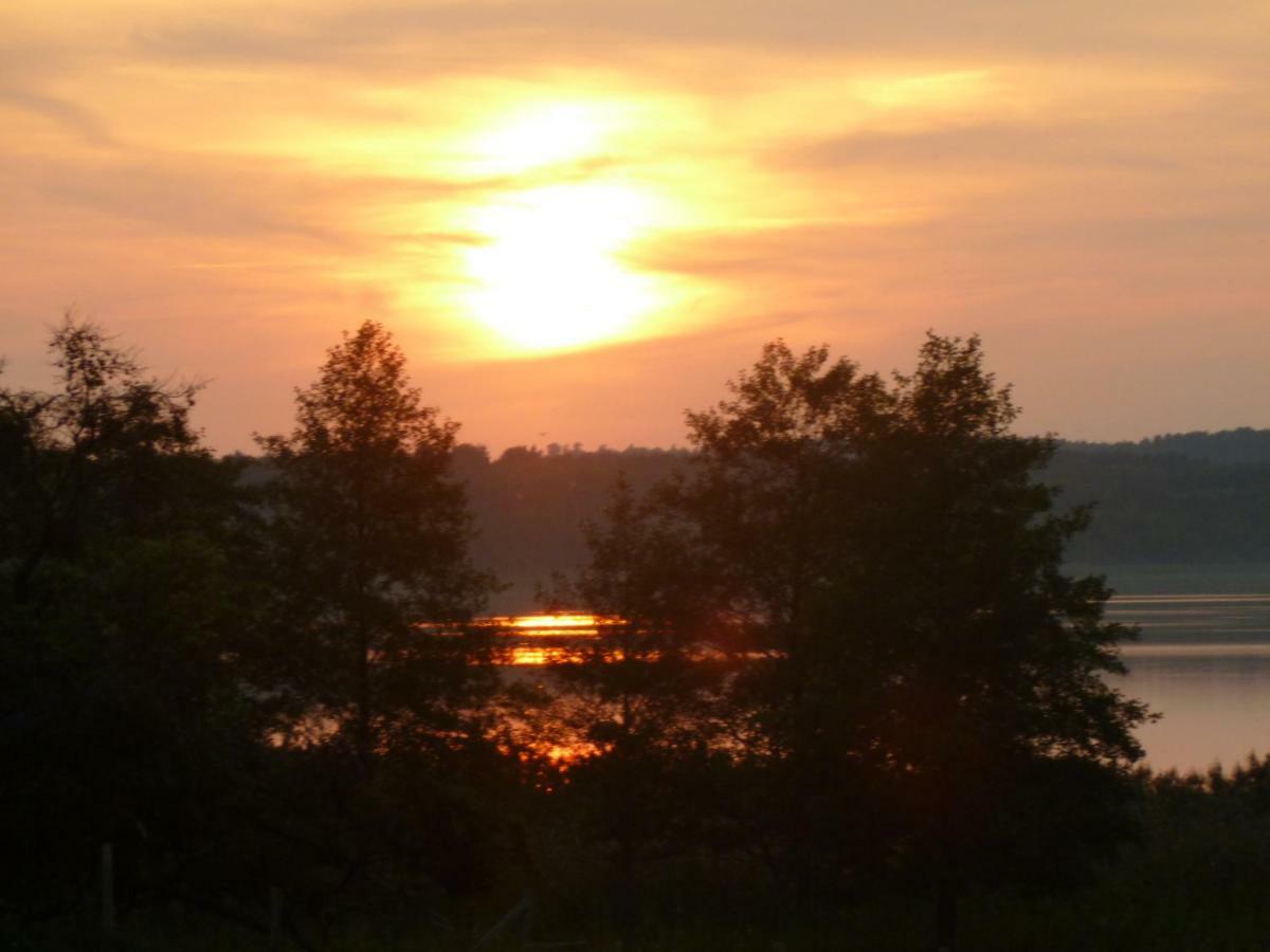 Landpension Zum Schweizerberg Neugrimnitz Екстериор снимка