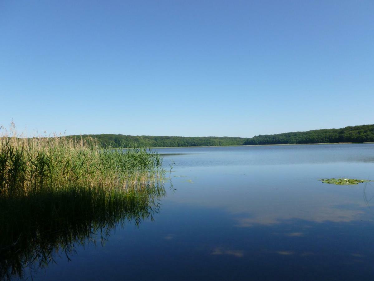 Landpension Zum Schweizerberg Neugrimnitz Екстериор снимка