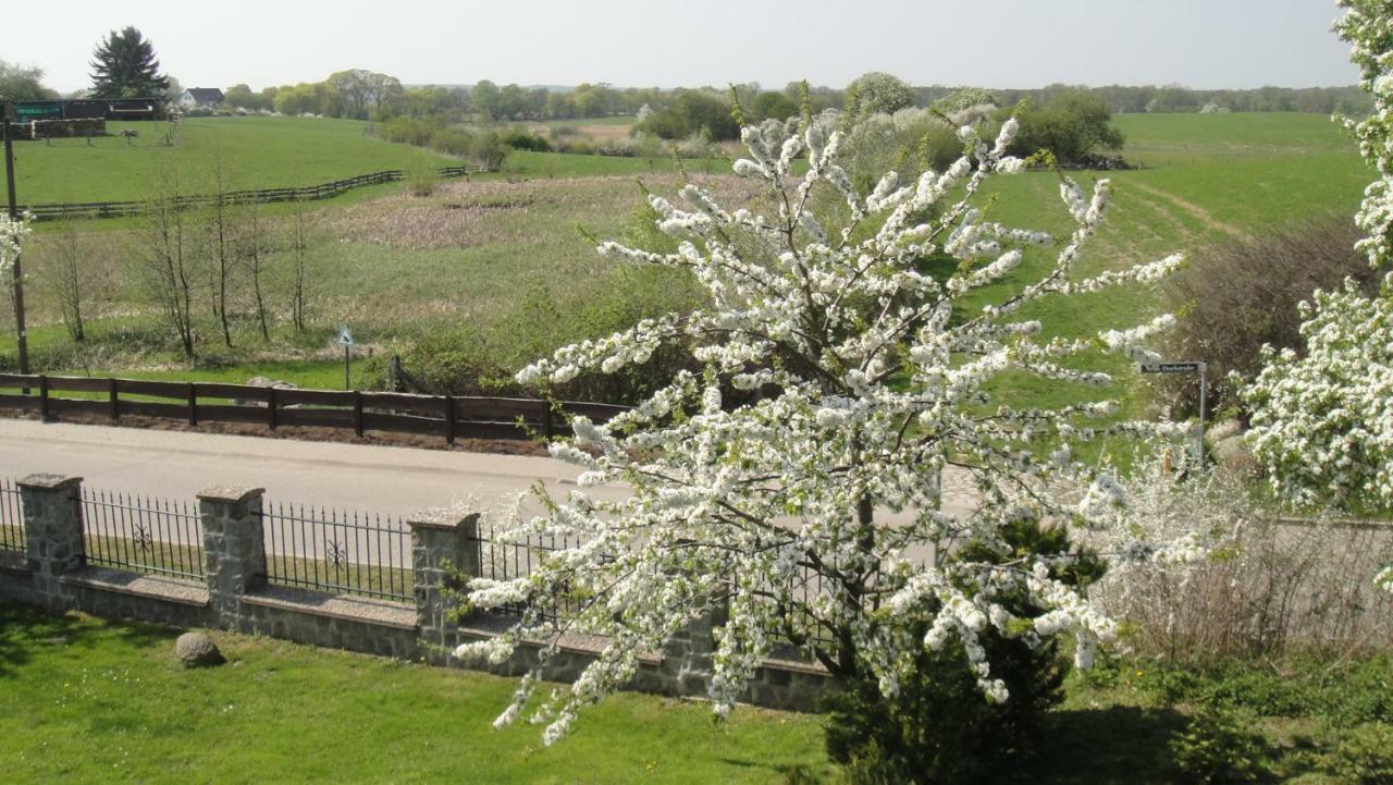 Landpension Zum Schweizerberg Neugrimnitz Екстериор снимка