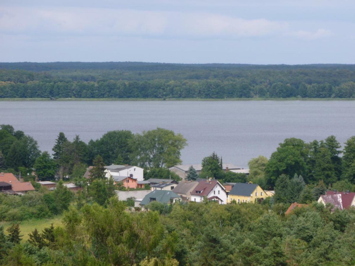 Landpension Zum Schweizerberg Neugrimnitz Екстериор снимка