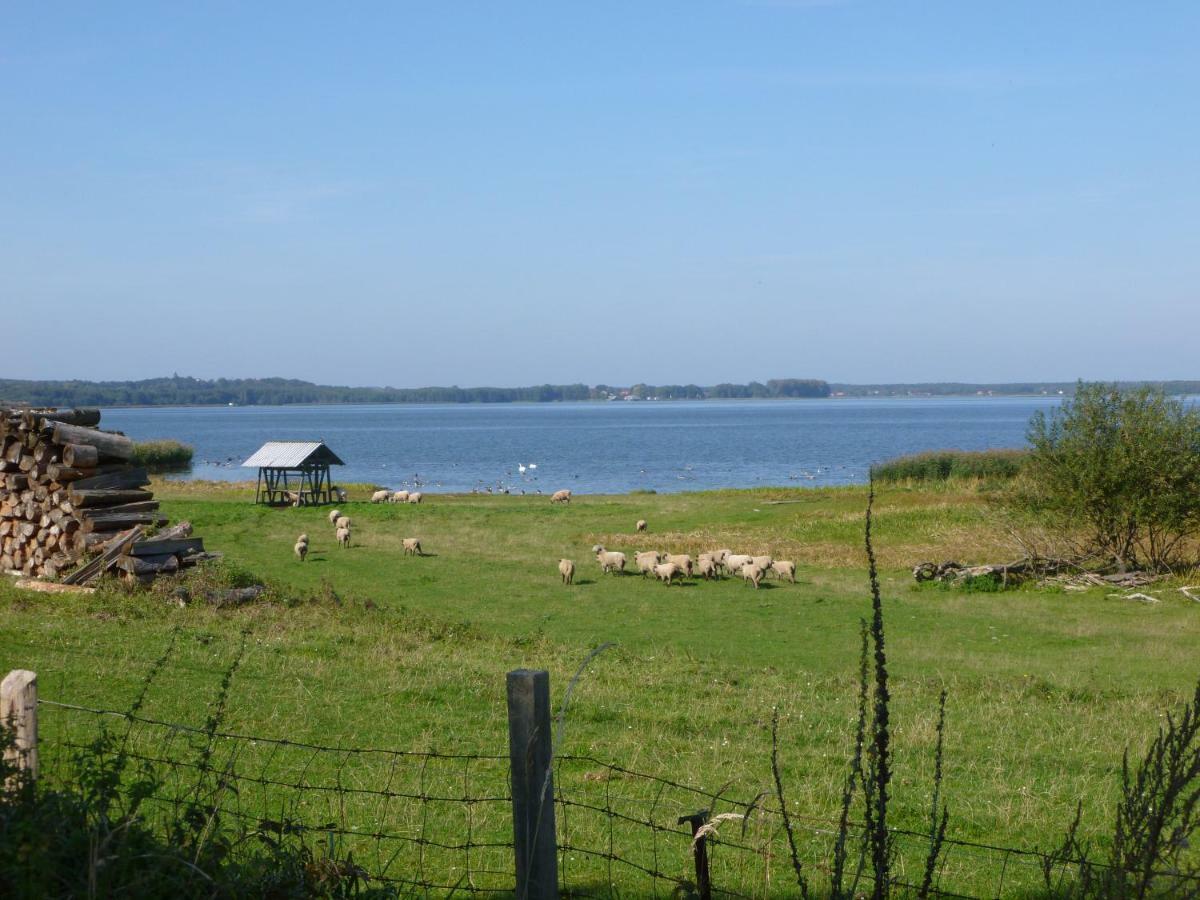 Landpension Zum Schweizerberg Neugrimnitz Екстериор снимка